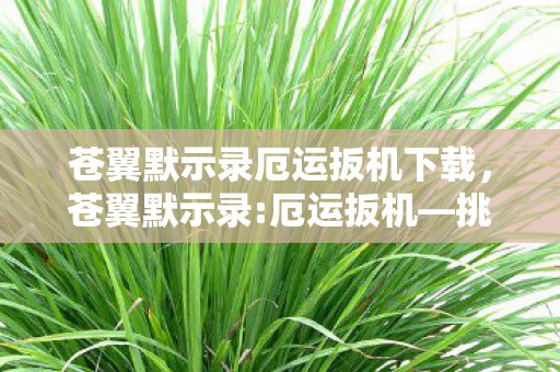 苍翼默示录厄运扳机下载，苍翼默示录:厄运扳机—挑战与机遇并存的冒险之旅