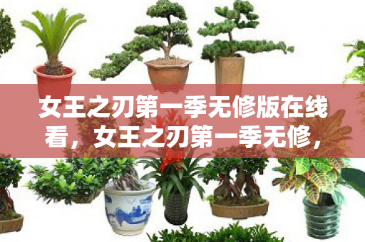 女王之刃第一季无修版在线看，女王之刃第一季无修，探索经典动漫的未删减魅力