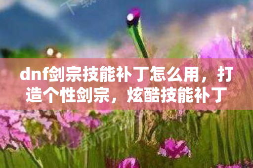 dnf剑宗技能补丁怎么用，打造个性剑宗，炫酷技能补丁大放送