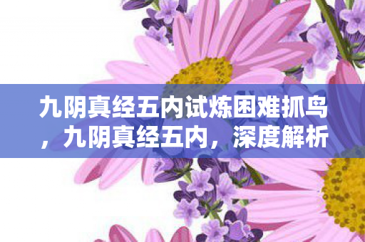 九阴真经五内试炼困难抓鸟，九阴真经五内，深度解析与修炼心得
