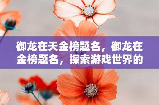 御龙在天金榜题名，御龙在金榜题名，探索游戏世界的无限可能