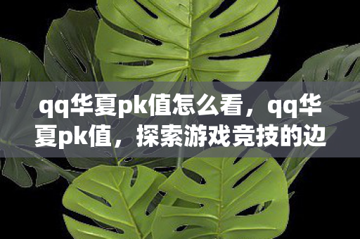 qq华夏pk值怎么看，qq华夏pk值，探索游戏竞技的边界