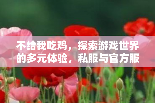不给我吃鸡，探索游戏世界的多元体验，私服与官方服务器的独特魅力