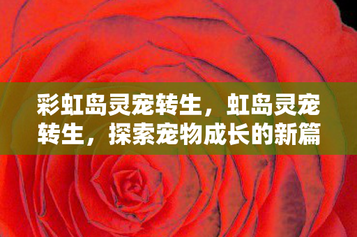 彩虹岛灵宠转生，虹岛灵宠转生，探索宠物成长的新篇章