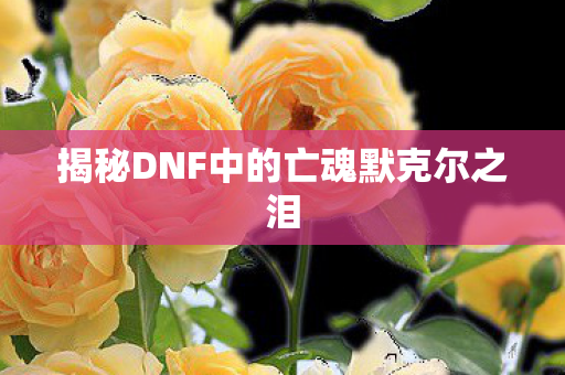 揭秘DNF中的亡魂默克尔之泪 揭秘DNF中的亡魂默克尔之泪