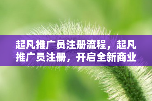 起凡推广员注册流程，起凡推广员注册，开启全新商业合作篇章