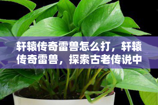 轩辕传奇雷兽怎么打，轩辕传奇雷兽，探索古老传说中的神秘生物