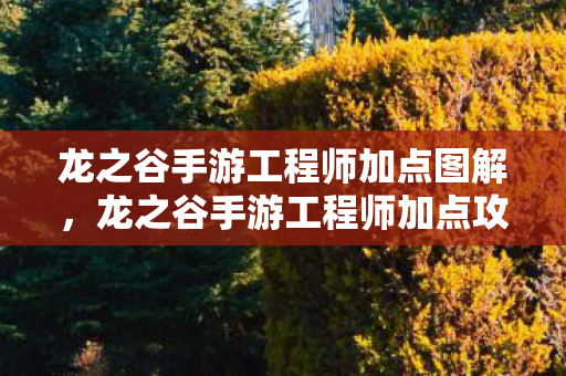 龙之谷手游工程师加点图解，龙之谷手游工程师加点攻略，打造高效战斗机器