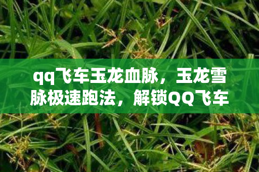qq飞车玉龙血脉，玉龙雪脉极速跑法，解锁QQ飞车新速度