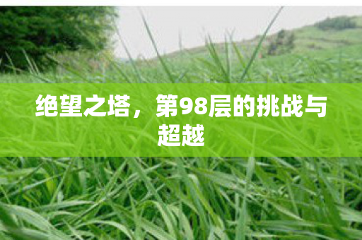 绝望之塔,第98层的挑战与超越 绝望之塔,第98层的挑战与超越