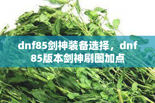 dnf85剑神装备选择，dnf85版本剑神刷图加点
