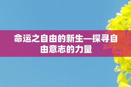 命运之自由的新生—探寻自由意志的力量 命运之自由的新生—探寻自由意志的力量