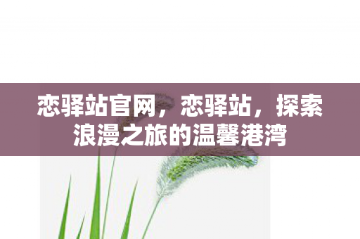 恋驿站官网，恋驿站，探索浪漫之旅的温馨港湾