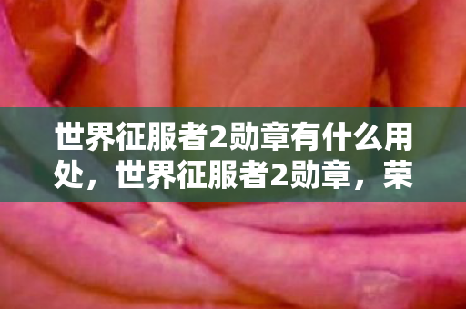 世界征服者2勋章有什么用处,世界征服者2勋章,荣耀与实力的象征 世界征服者2勋章有什么用处,世界征服者2勋章,荣耀与实力的象征