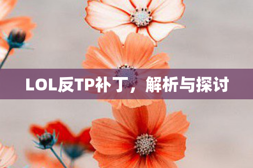 LOL反TP补丁,解析与探讨 LOL反TP补丁,解析与探讨