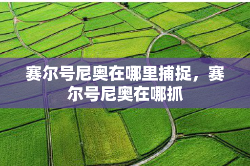 赛尔号尼奥在哪里捕捉，赛尔号尼奥在哪抓