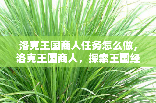 洛克王国商人任务怎么做，洛克王国商人，探索王国经济的繁荣与商机