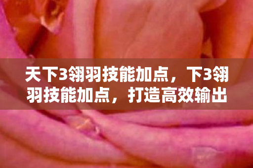 天下3翎羽技能加点，下3翎羽技能加点，打造高效输出的战斗法师