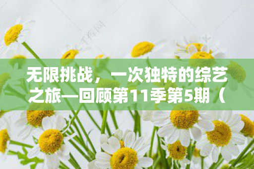 无限挑战,一次独特的综艺之旅—回顾第11季第5期(日期,XXXX年XX月XX日) 无限挑战,一次独特的综艺之旅—回顾第11季第5期(日期,XXXX年XX月XX日)