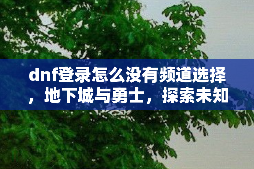 dnf登录怎么没有频道选择，地下城与勇士，探索未知领域的冒险之旅