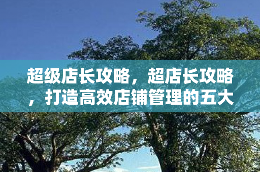 超级店长攻略，超店长攻略，打造高效店铺管理的五大策略