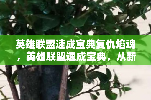 英雄联盟速成宝典复仇焰魂，英雄联盟速成宝典，从新手到高手的实战指南