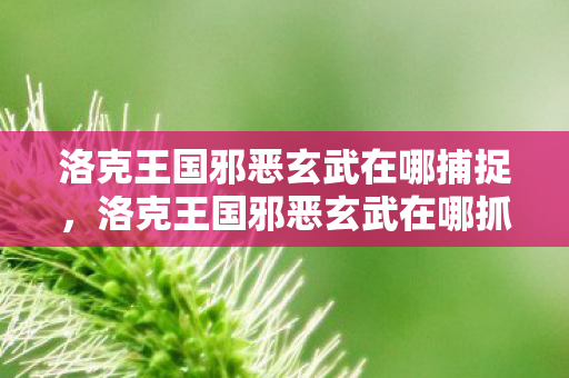 洛克王国邪恶玄武在哪捕捉，洛克王国邪恶玄武在哪抓