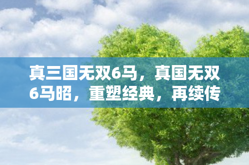 真三国无双6马，真国无双6马昭，重塑经典，再续传奇