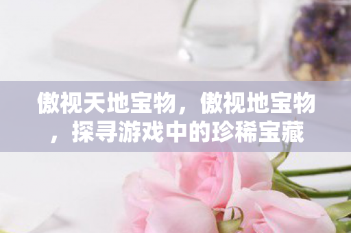 傲视天地宝物，傲视地宝物，探寻游戏中的珍稀宝藏