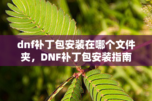dnf补丁包安装在哪个文件夹，DNF补丁包安装指南