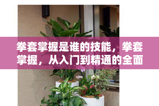 拳套掌握是谁的技能,拳套掌握,从入门到精通的全面解析 拳套掌握是谁的技能,拳套掌握,从入门到精通的全面解析