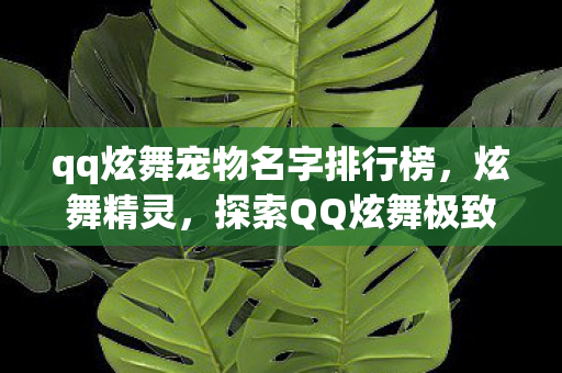 qq炫舞宠物名字排行榜，炫舞精灵，探索QQ炫舞极致宠物名字的魅力