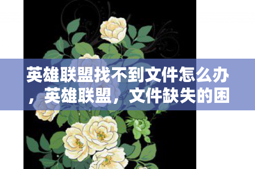 英雄联盟找不到文件怎么办，英雄联盟，文件缺失的困扰与解决之道