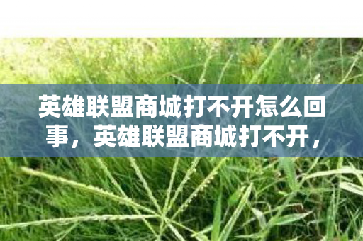 英雄联盟商城打不开怎么回事，英雄联盟商城打不开，原因分析与解决策略