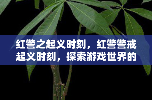 红警之起义时刻，红警警戒起义时刻，探索游戏世界的战略深度与魅力