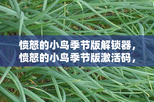 愤怒的小鸟季节版解锁器，愤怒的小鸟季节版激活码，解锁无限乐趣的钥匙