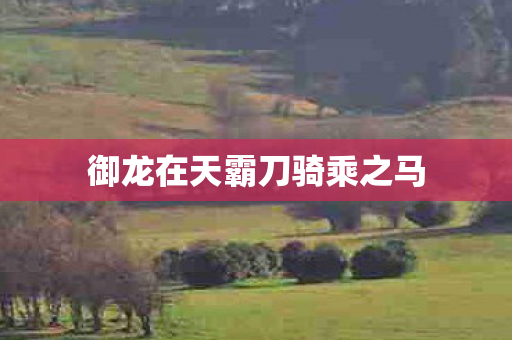 御龙在天霸刀骑乘之马
