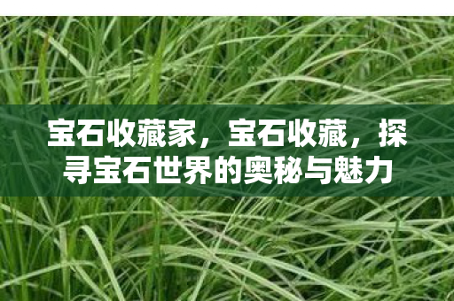 宝石收藏家，宝石收藏，探寻宝石世界的奥秘与魅力