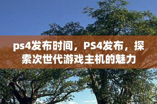 ps4发布时间，PS4发布，探索次世代游戏主机的魅力