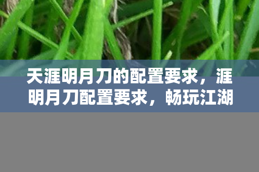 天涯明月刀的配置要求，涯明月刀配置要求，畅玩江湖，你需要这些硬件支持