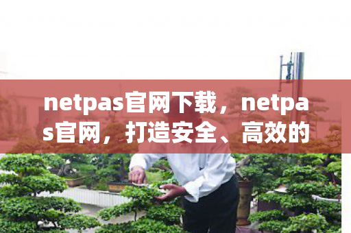 netpas官网下载，netpas官网，打造安全、高效的网络环境