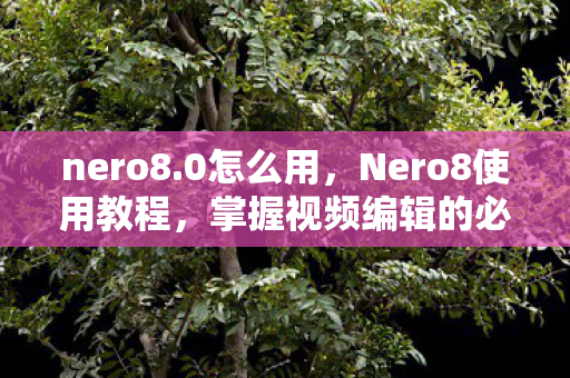 nero8.0怎么用，Nero8使用教程，掌握视频编辑的必备技能