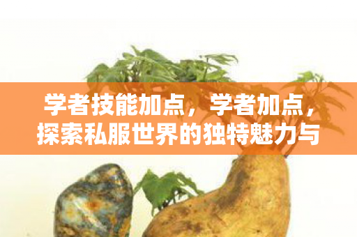 学者技能加点，学者加点，探索私服世界的独特魅力与玩家文化