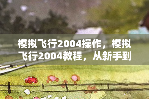 模拟飞行2004操作，模拟飞行2004教程，从新手到高手的飞行之旅