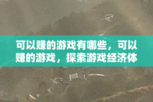 可以赚的游戏有哪些，可以赚的游戏，探索游戏经济体系中的财富之道