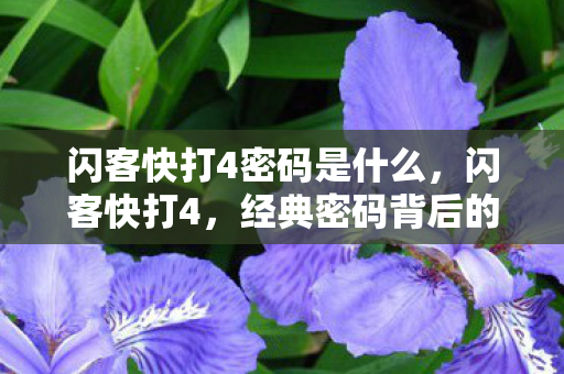 闪客快打4密码是什么，闪客快打4，经典密码背后的回忆与探索