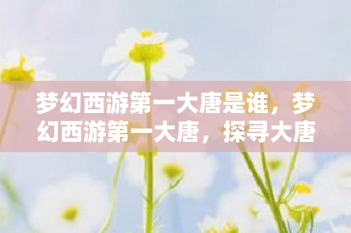 梦幻西游第一大唐是谁，梦幻西游第一大唐，探寻大唐盛世的辉煌与传奇