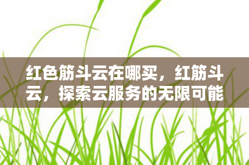 红色筋斗云在哪买，红筋斗云，探索云服务的无限可能