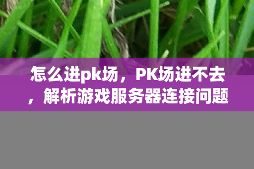 怎么进pk场，PK场进不去，解析游戏服务器连接问题背后的原因与解决方案