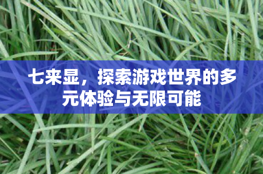 七来显，探索游戏世界的多元体验与无限可能